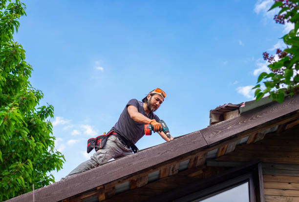 Best Roof Moss and Algae Removal  in Winchester, NV